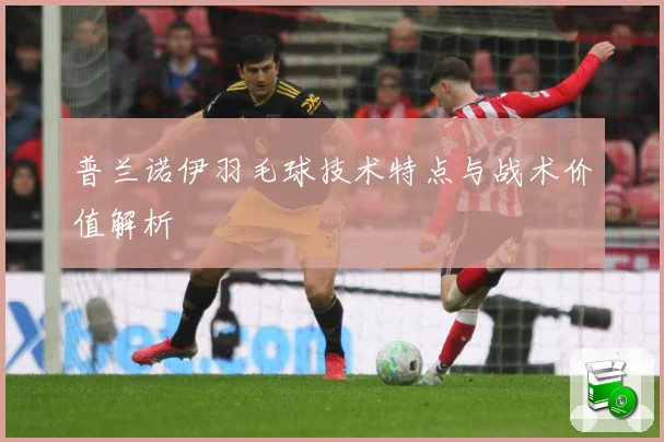 普兰诺伊羽毛球技术特点与战术价值解析