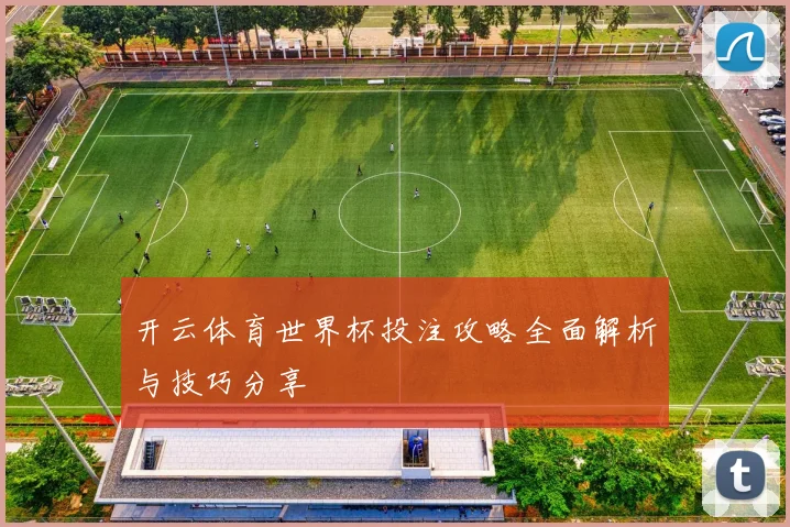 开云体育世界杯投注攻略全面解析与技巧分享