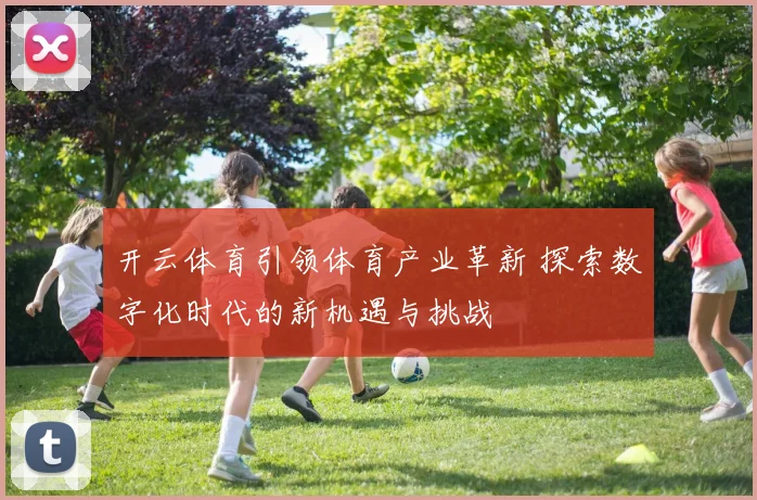 开云体育引领体育产业革新 探索数字化时代的新机遇与挑战