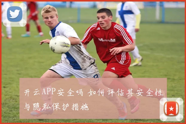 开云APP安全吗 如何评估其安全性与隐私保护措施