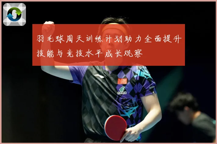 羽毛球周天训练计划助力全面提升技能与竞技水平成长观察