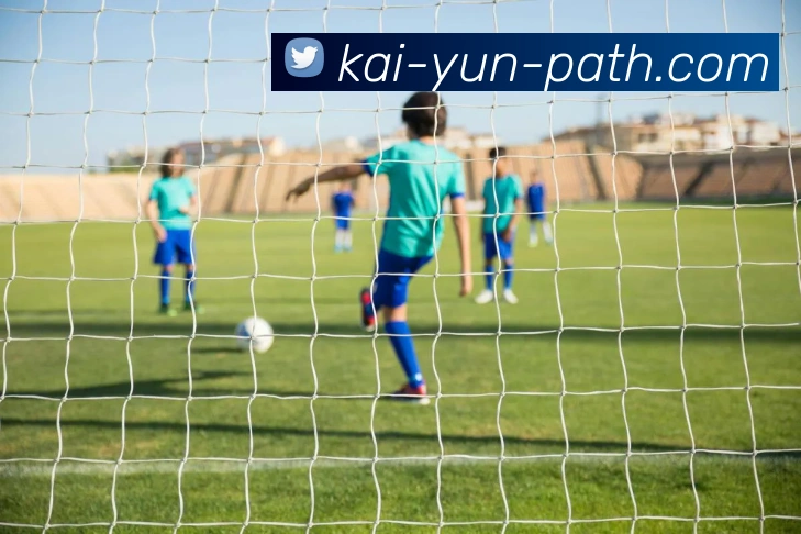 开云平台展示图