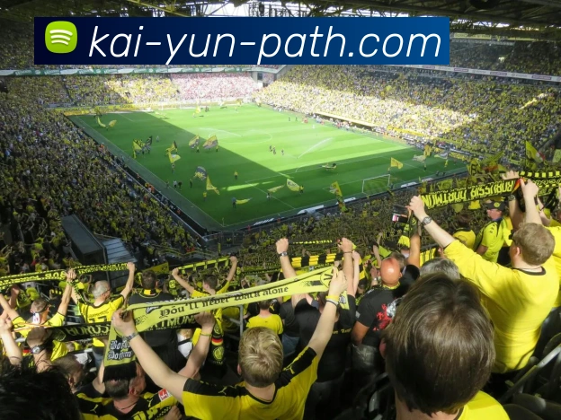 开云官网全站App